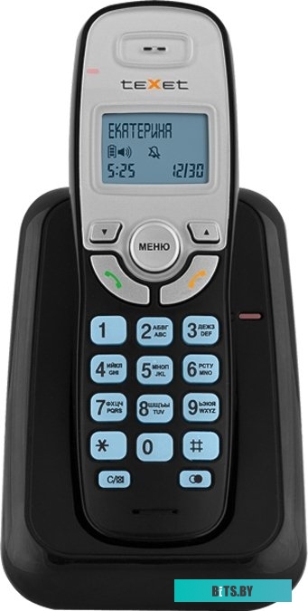 Радиотелефон Texet TX-D6905A (черный)