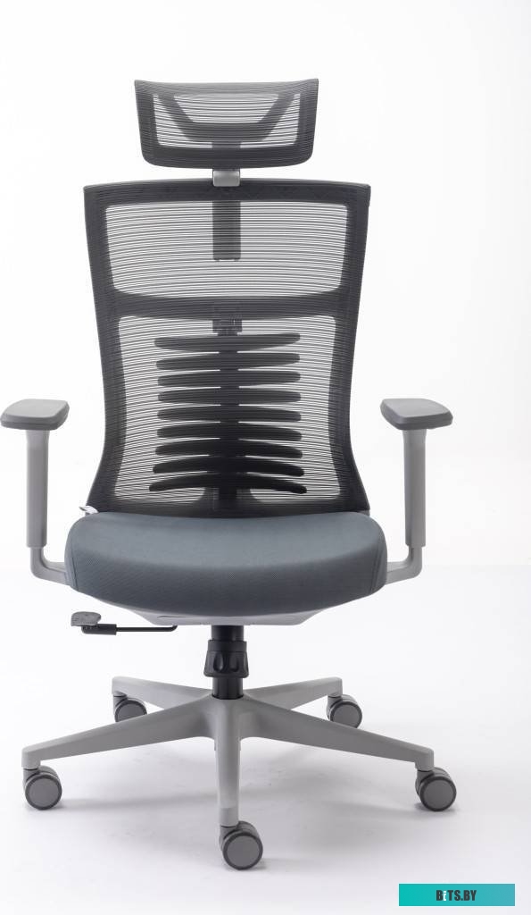 Evolution Fishbones (серый)