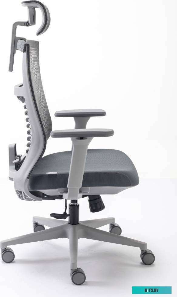 Evolution Fishbones (серый)