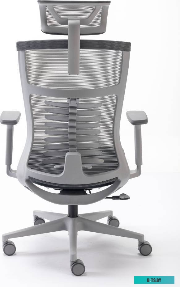 Evolution Fishbones (серый)