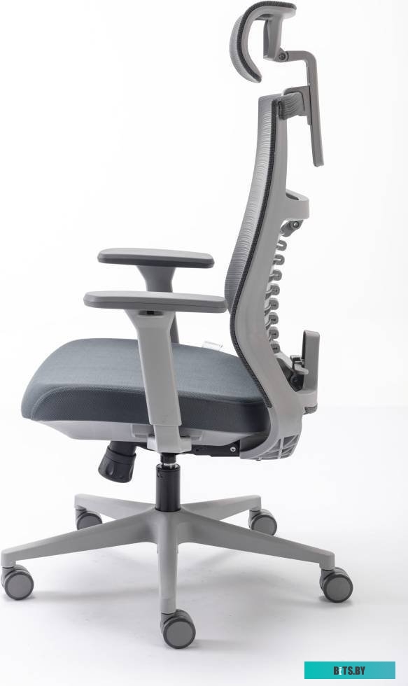 Evolution Fishbones (серый)