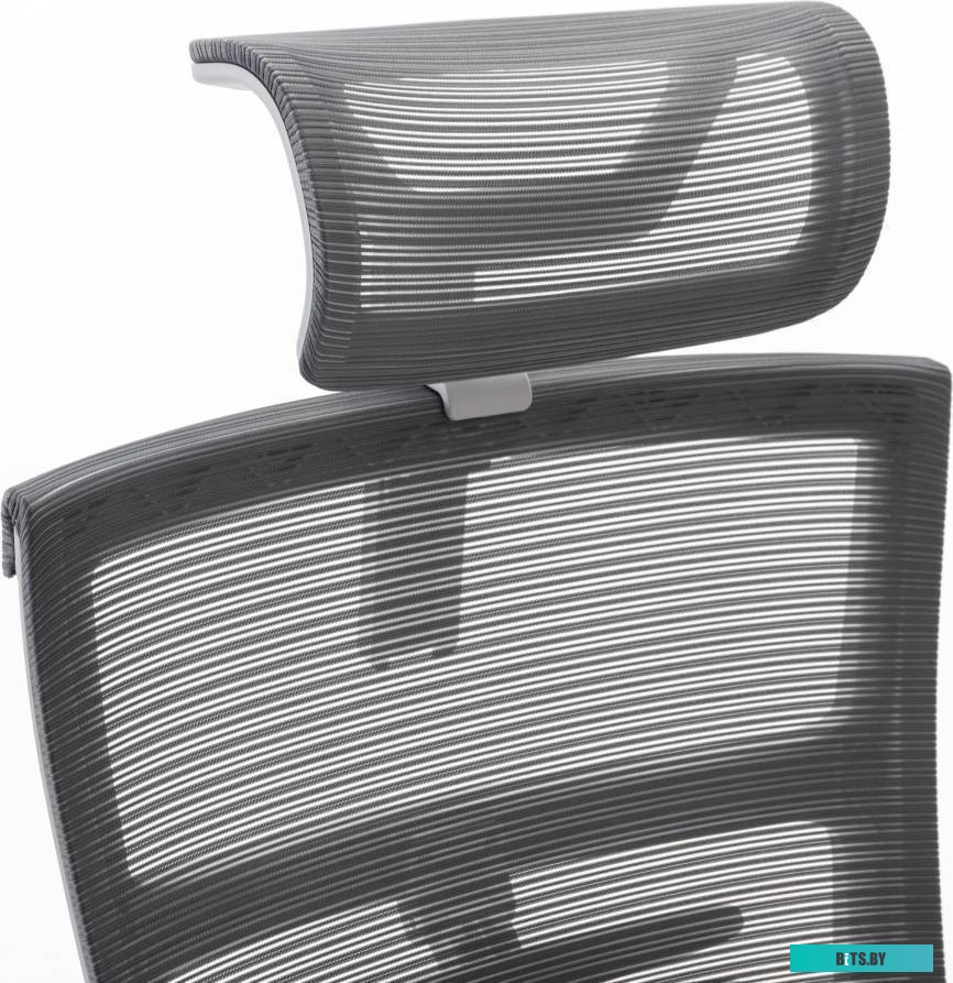 Evolution Fishbones (серый)