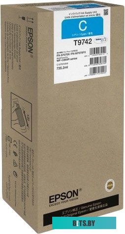 Чернила Epson C13T974200
