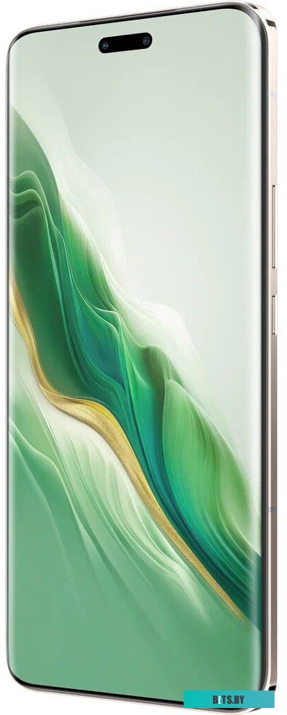 Honor Magic6 Pro 12GB/512GB международная версия (шалфейный зеленый)