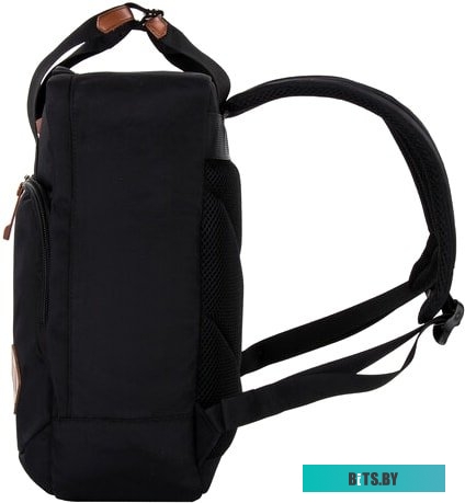 BRAUBERG Friendly 270089
