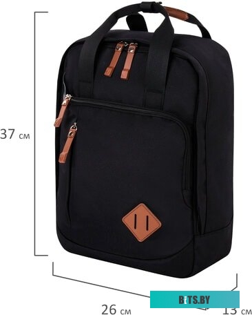 BRAUBERG Friendly 270089