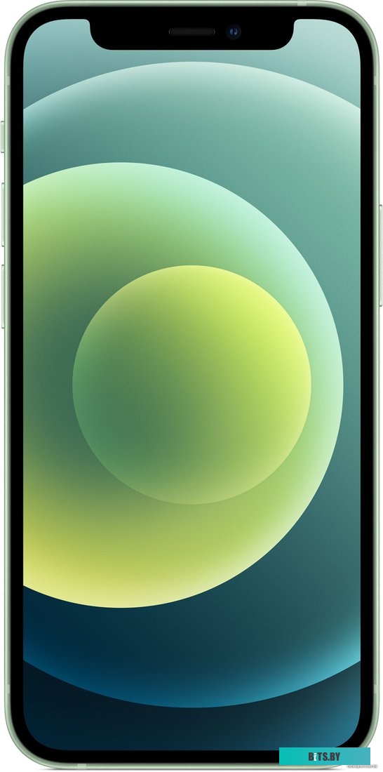 Apple iPhone 12 mini 256GB Восстановленный by Breezy, грейд A (зеленый)
