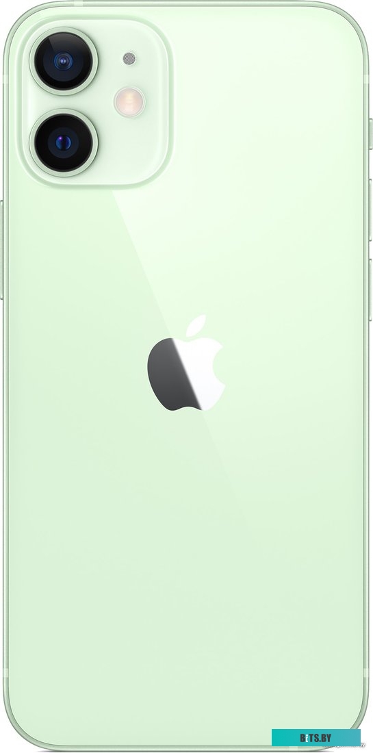 Apple iPhone 12 mini 256GB Восстановленный by Breezy, грейд A (зеленый)