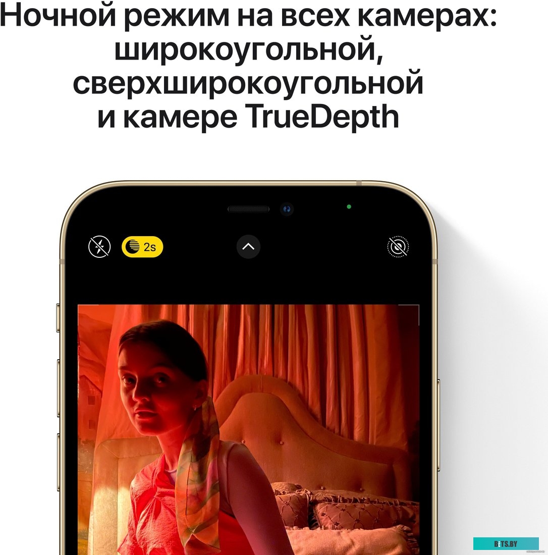 Apple iPhone 12 Pro Max 256GB Восстановленный by Breezy, грейд B (тихоокеанский с