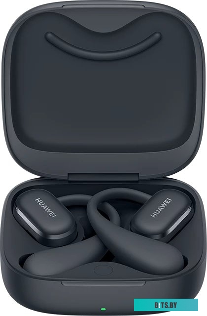 Гарнитура HUAWEI FreeBuds SE 2 55037505 Black