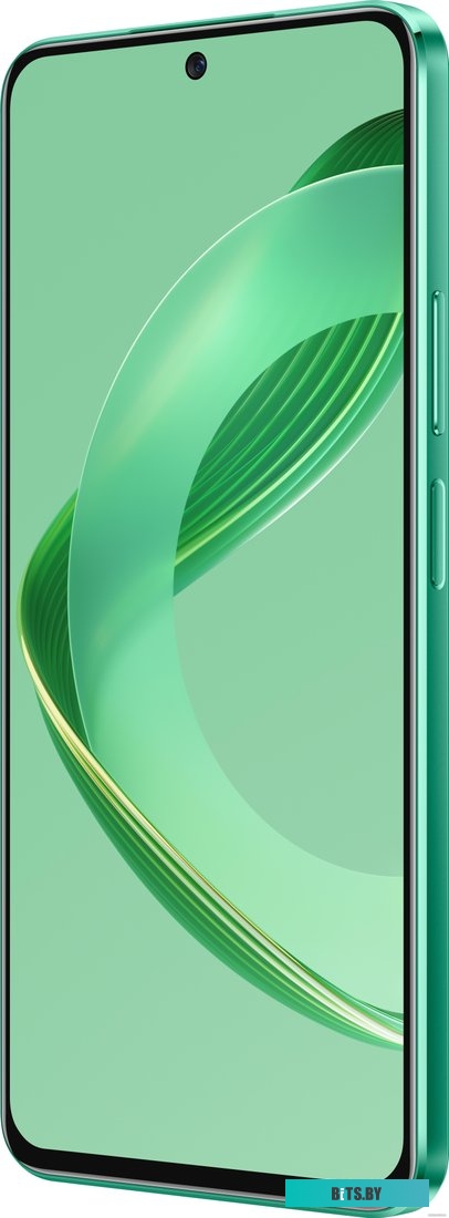 Huawei nova 12 SE BNE-LX1 8GB/256GB (зеленый)