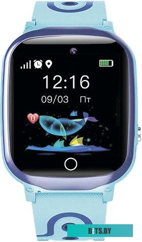 Умные часы Prolike PLSW13BL