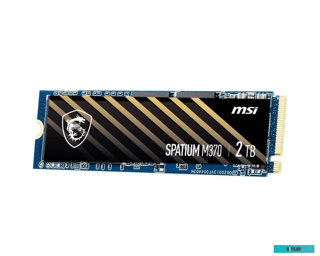 S78-4409P50-P83 S78-4409PW0-P83 MSI Spatium M370 256GB S78-4409P50-P83