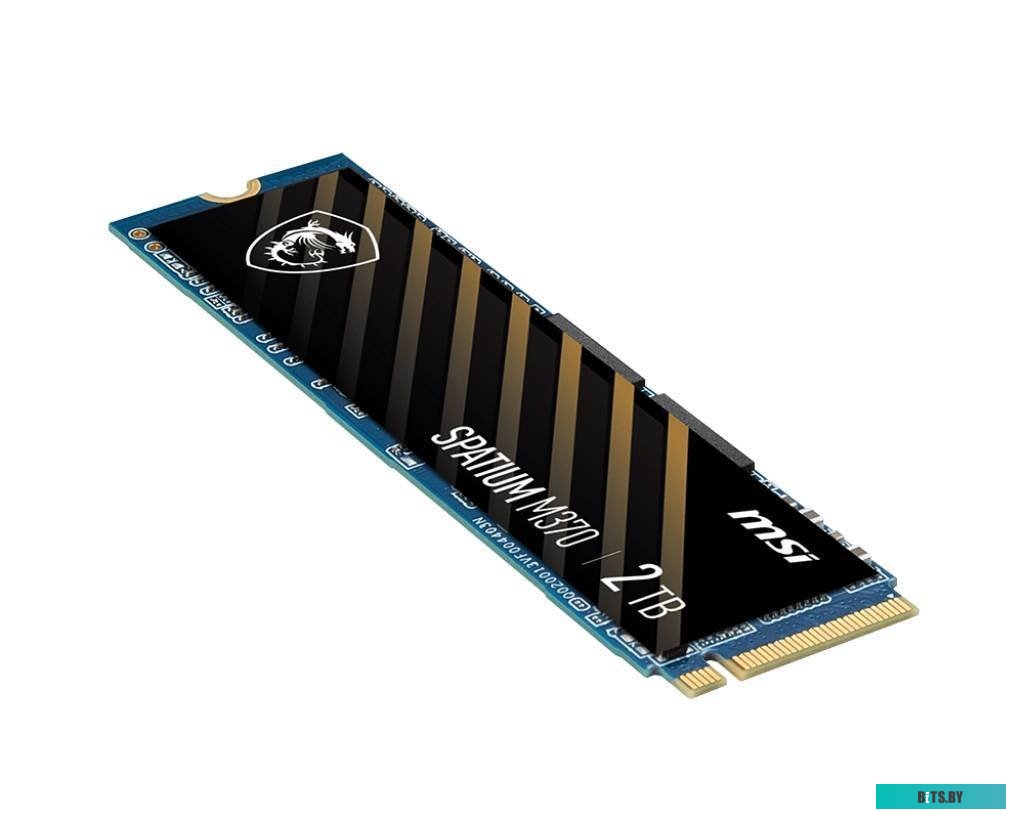 S78-4409P50-P83 S78-4409PW0-P83 MSI Spatium M370 256GB S78-4409P50-P83
