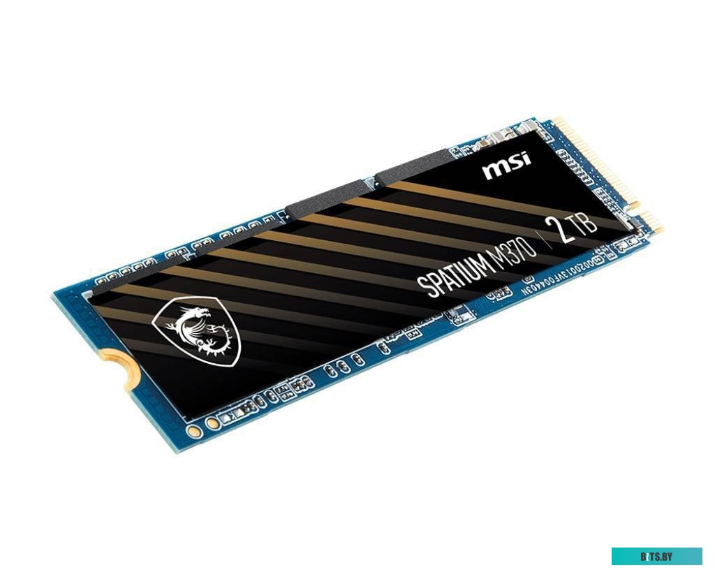 S78-4409P50-P83 S78-4409PW0-P83 MSI Spatium M370 256GB S78-4409P50-P83