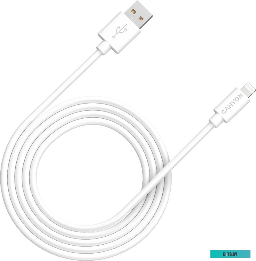 Кабель Canyon CNS-MFIC12W USB Type-A - Lightning (2 м, белый)