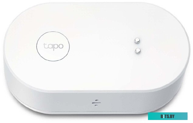 TP-Link Tapo T300