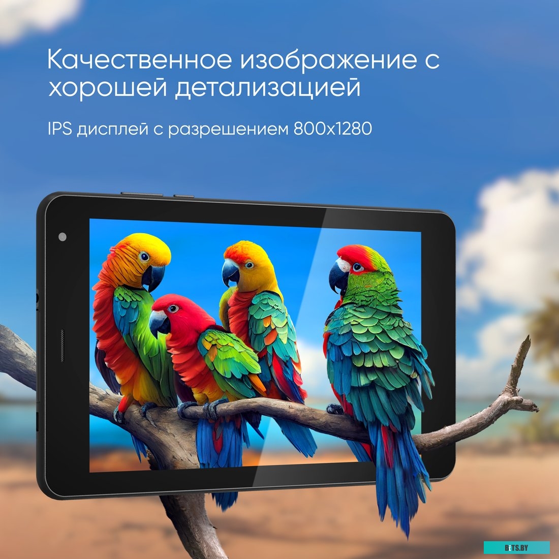 Планшет Topdevice A8 2GB/32GB LTE (черный)