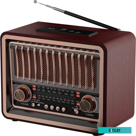 Ritmix RPR-089 (красное дерево)