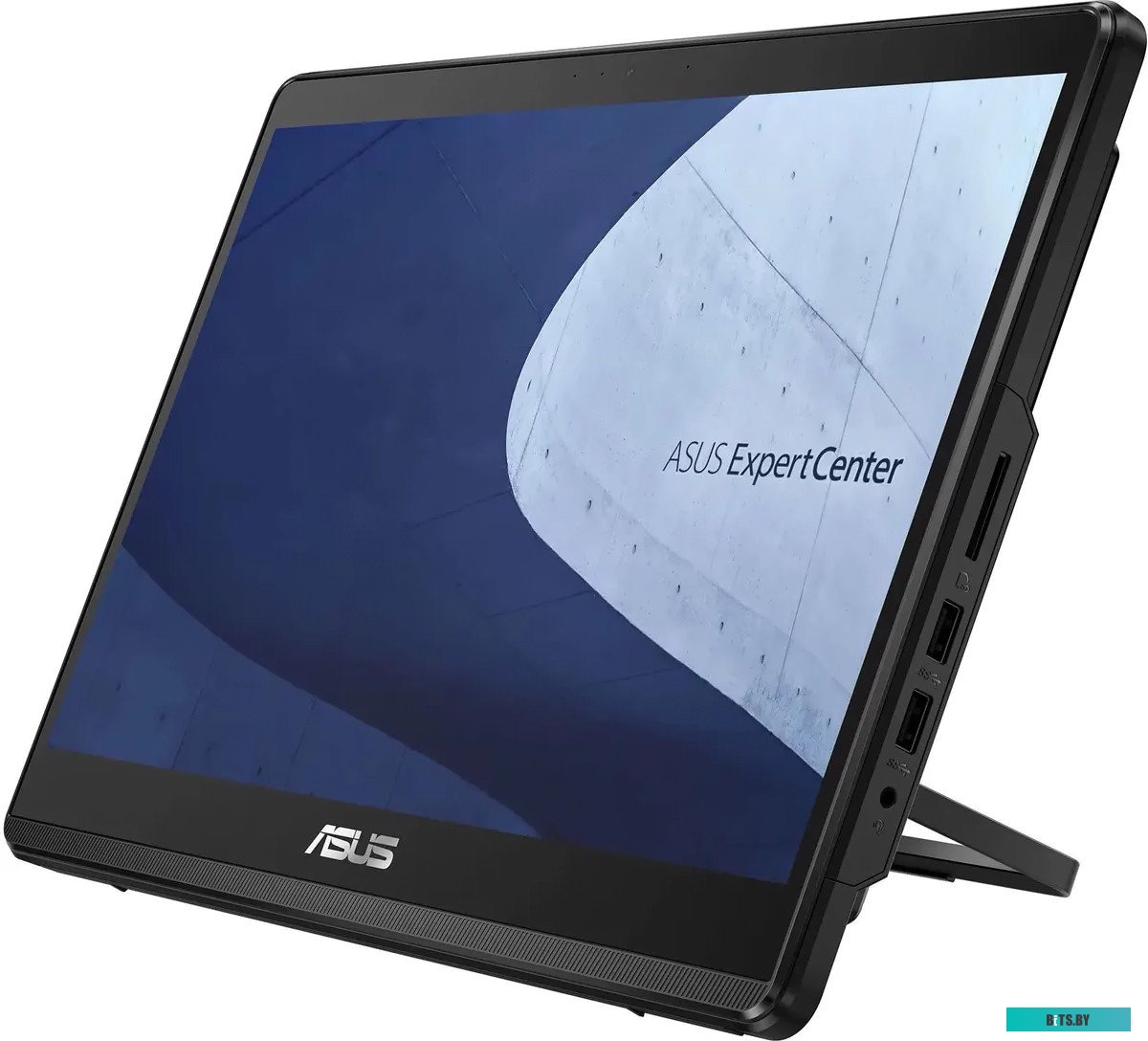 90PT0391-M00B80 Моноблок Asus E1600WKAT-BD103X 15.6" HD Touch Cel N4500 (1.1) 4Gb SSD128Gb UHDG Windows 11 Professional GbitEth WiFi BT 65W Cam черный