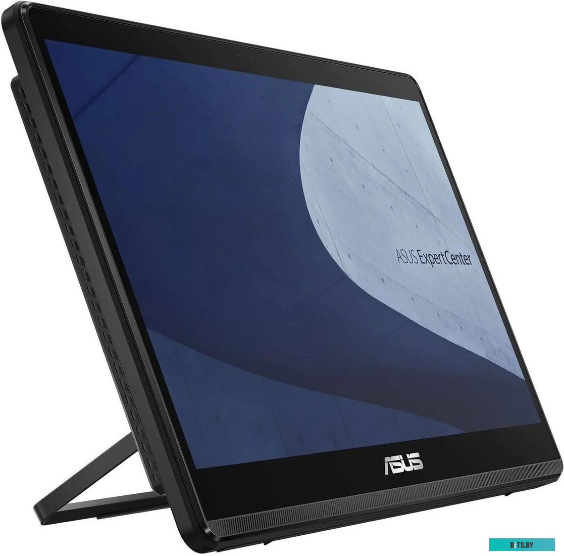 90PT0391-M00B80 Моноблок Asus E1600WKAT-BD103X 15.6" HD Touch Cel N4500 (1.1) 4Gb SSD128Gb UHDG Windows 11 Professional GbitEth WiFi BT 65W Cam черный