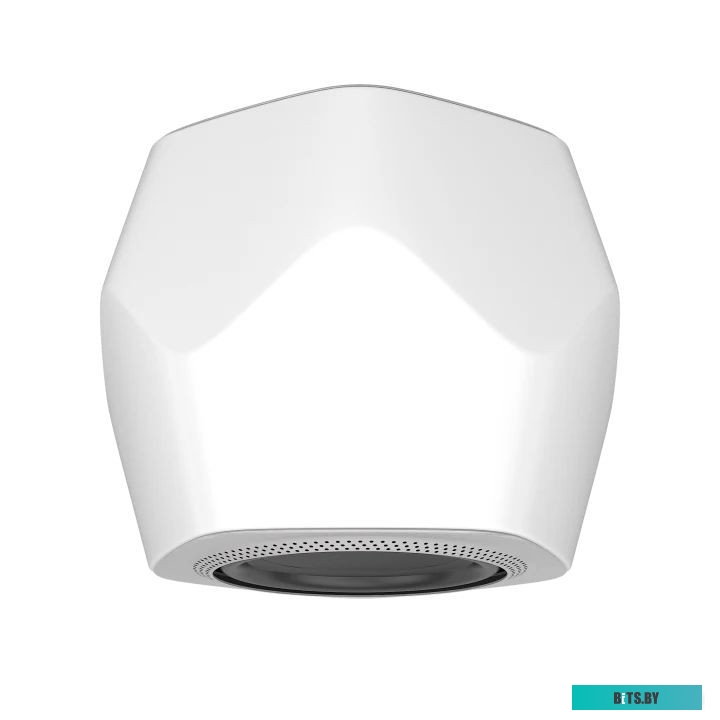 1620521 Bang & Olufsen Beolab 19 (белый)