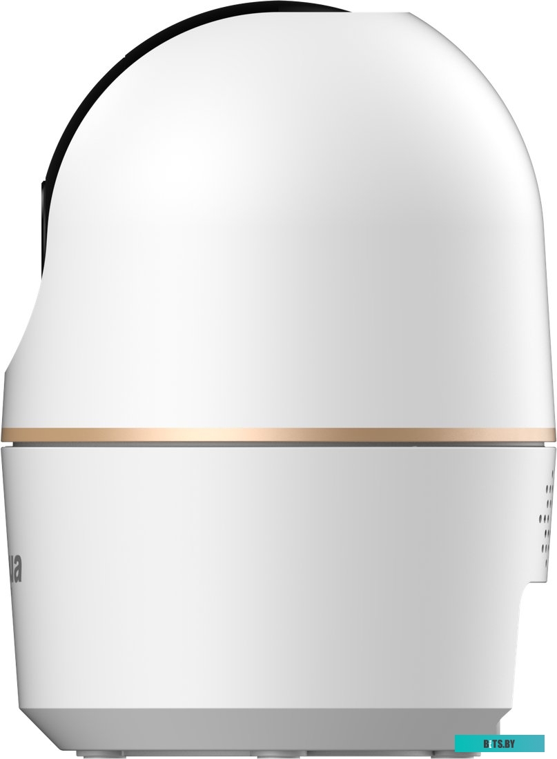 IP камера Dahua DH-H4A