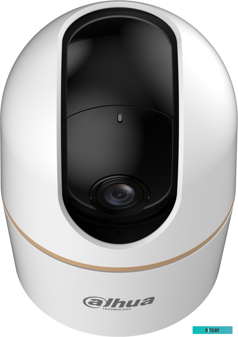 IP камера Dahua DH-H4A