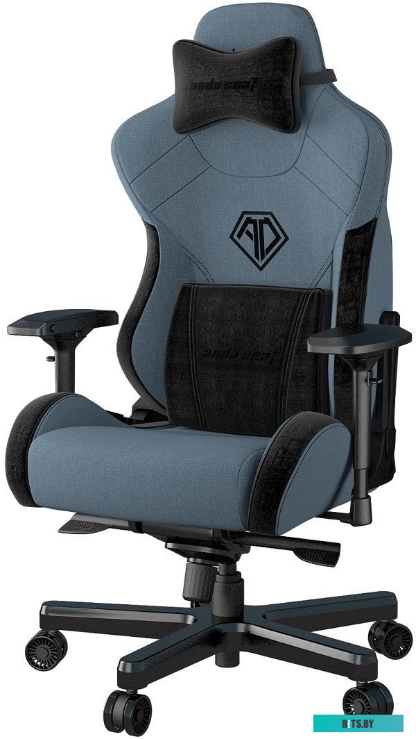 Кресло AndaSeat T-Pro 2 (голубой/черный) <AD12XLLA-01-SB-F>