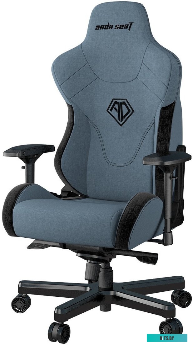Кресло AndaSeat T-Pro 2 (голубой/черный) <AD12XLLA-01-SB-F>