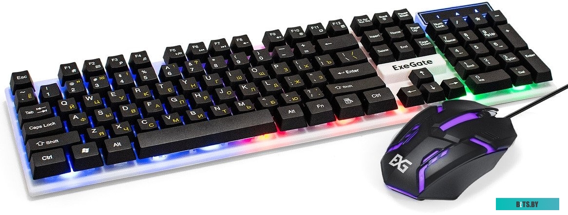 Беспроводная мышь ExeGate Professional Standard SR-9055W EX295308RUS