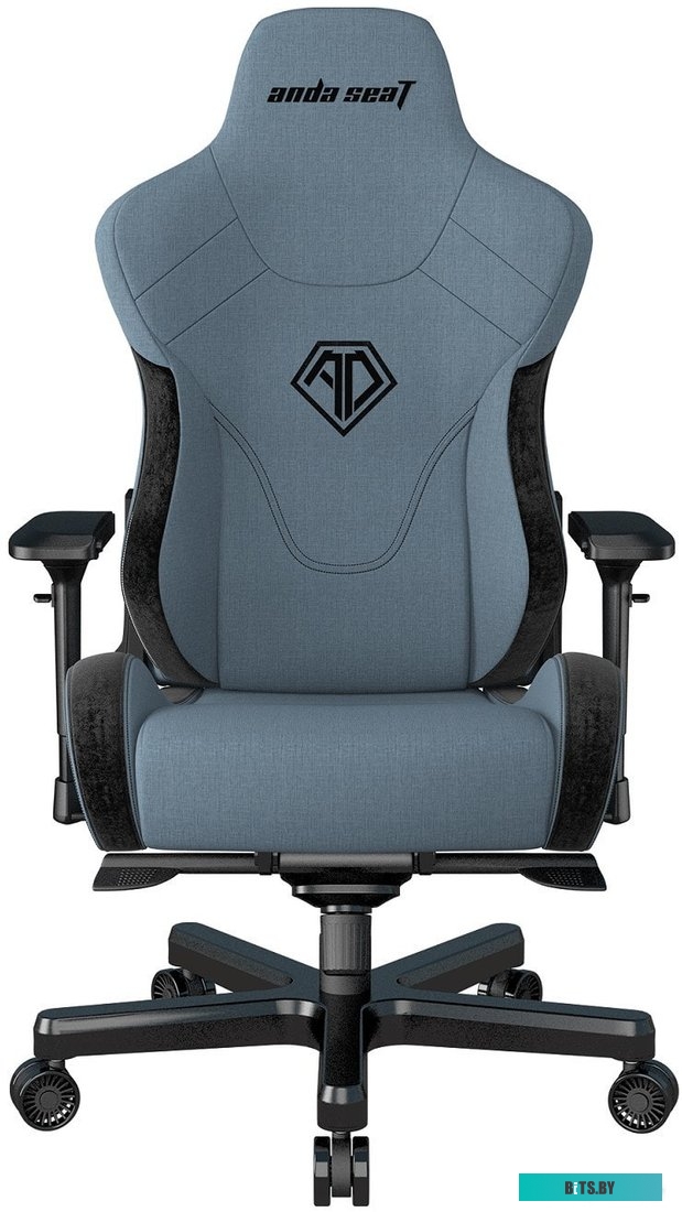 Кресло AndaSeat T-Pro 2 (голубой/черный) <AD12XLLA-01-SB-F>