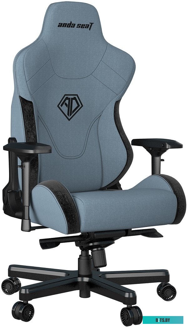 Кресло AndaSeat T-Pro 2 (голубой/черный) <AD12XLLA-01-SB-F>