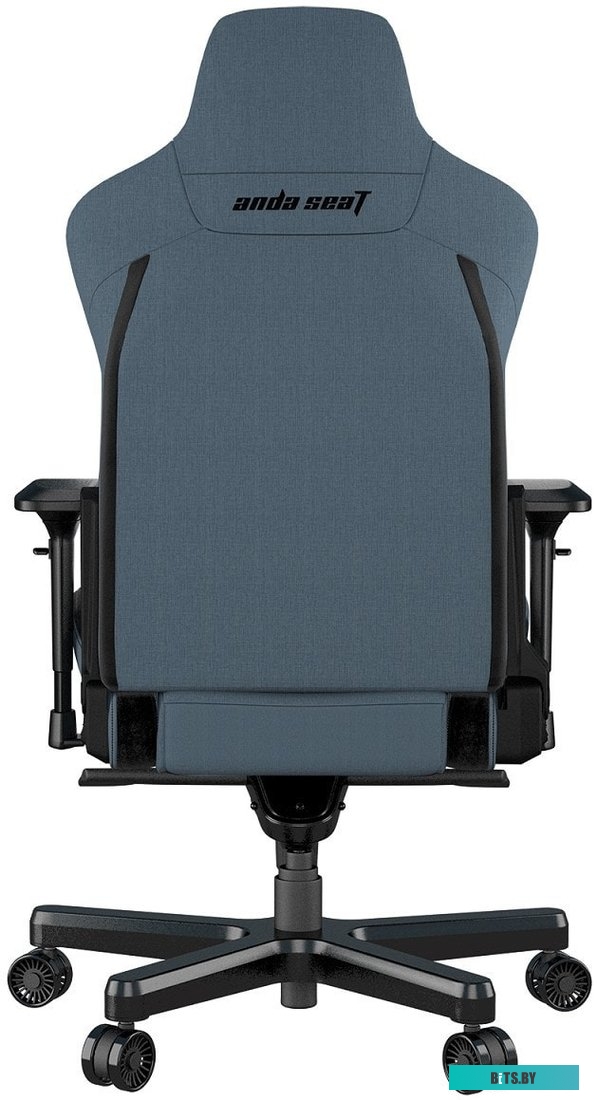 Кресло AndaSeat T-Pro 2 (голубой/черный) <AD12XLLA-01-SB-F>
