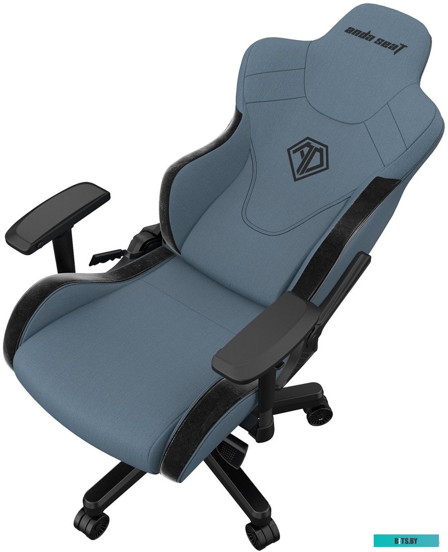 Кресло AndaSeat T-Pro 2 (голубой/черный) <AD12XLLA-01-SB-F>