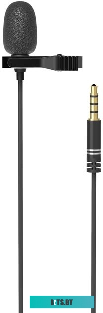 Микрофон Ritmix RCM-110
