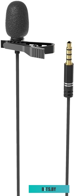 Микрофон Ritmix RCM-110