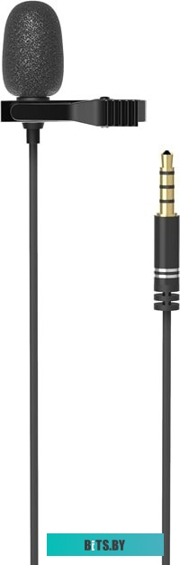 Микрофон Ritmix RCM-110