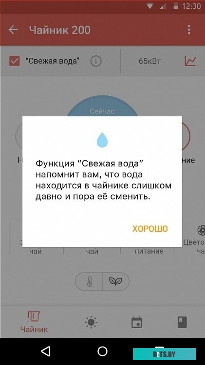 Электрочайник Redmond SkyKettle RK-G211S