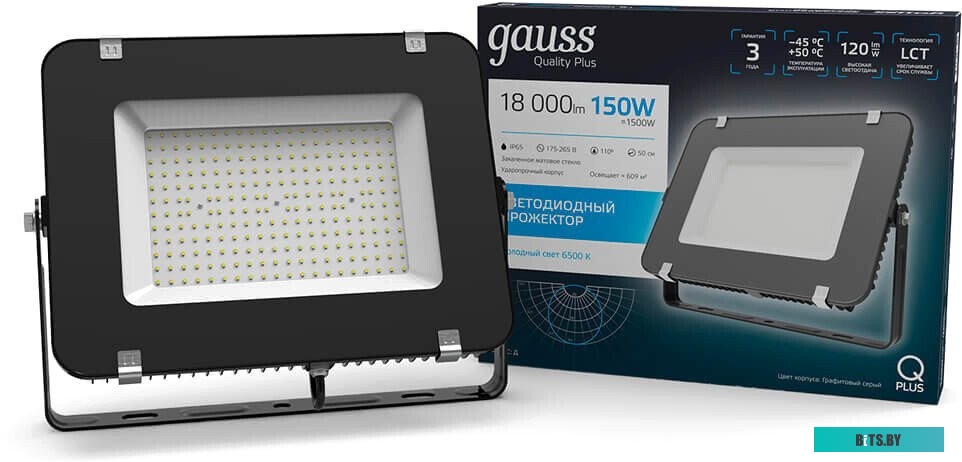 690511100 Прожектор уличный GAUSS 690511100, 100Вт