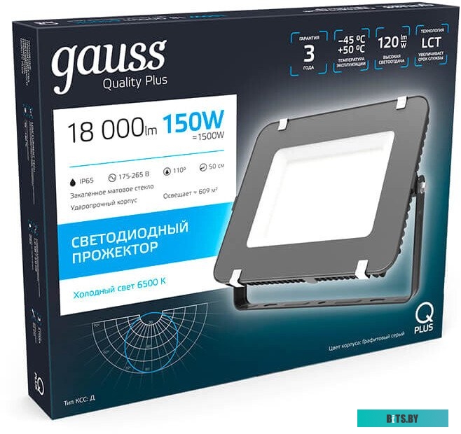 690511100 Прожектор уличный GAUSS 690511100, 100Вт