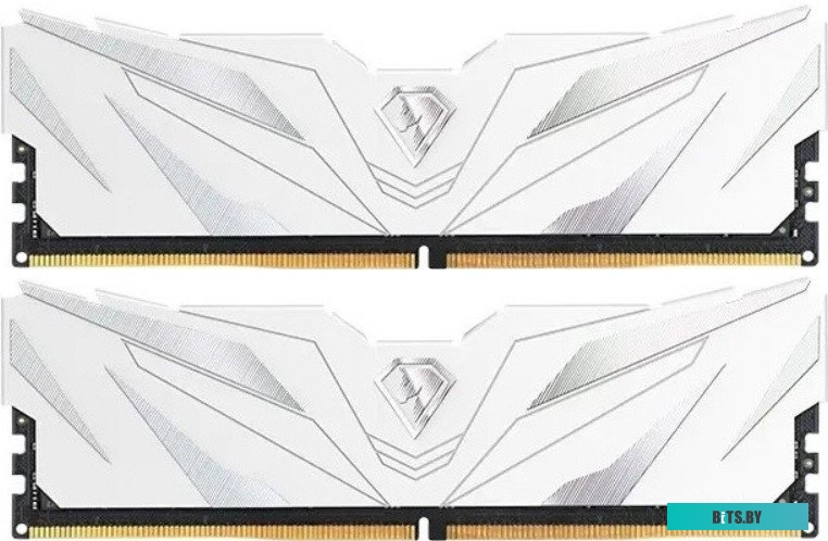 Оперативная память Netac Shadow II NTSWD5P48DP-16W