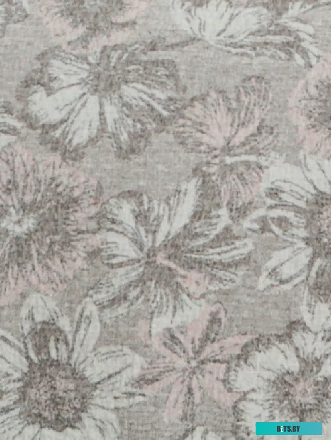 B-CF50 (1) Морозильный ларь B-CF50 BIRYUSA