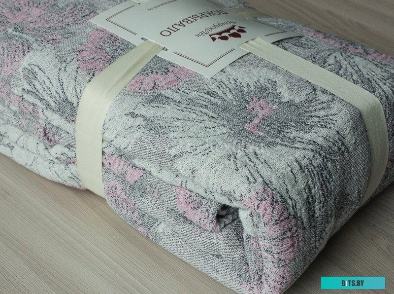 B-CF50 (1) Морозильный ларь B-CF50 BIRYUSA