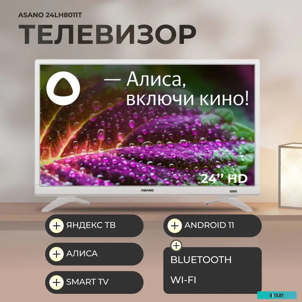 Телевизор ASANO 24LH8011T