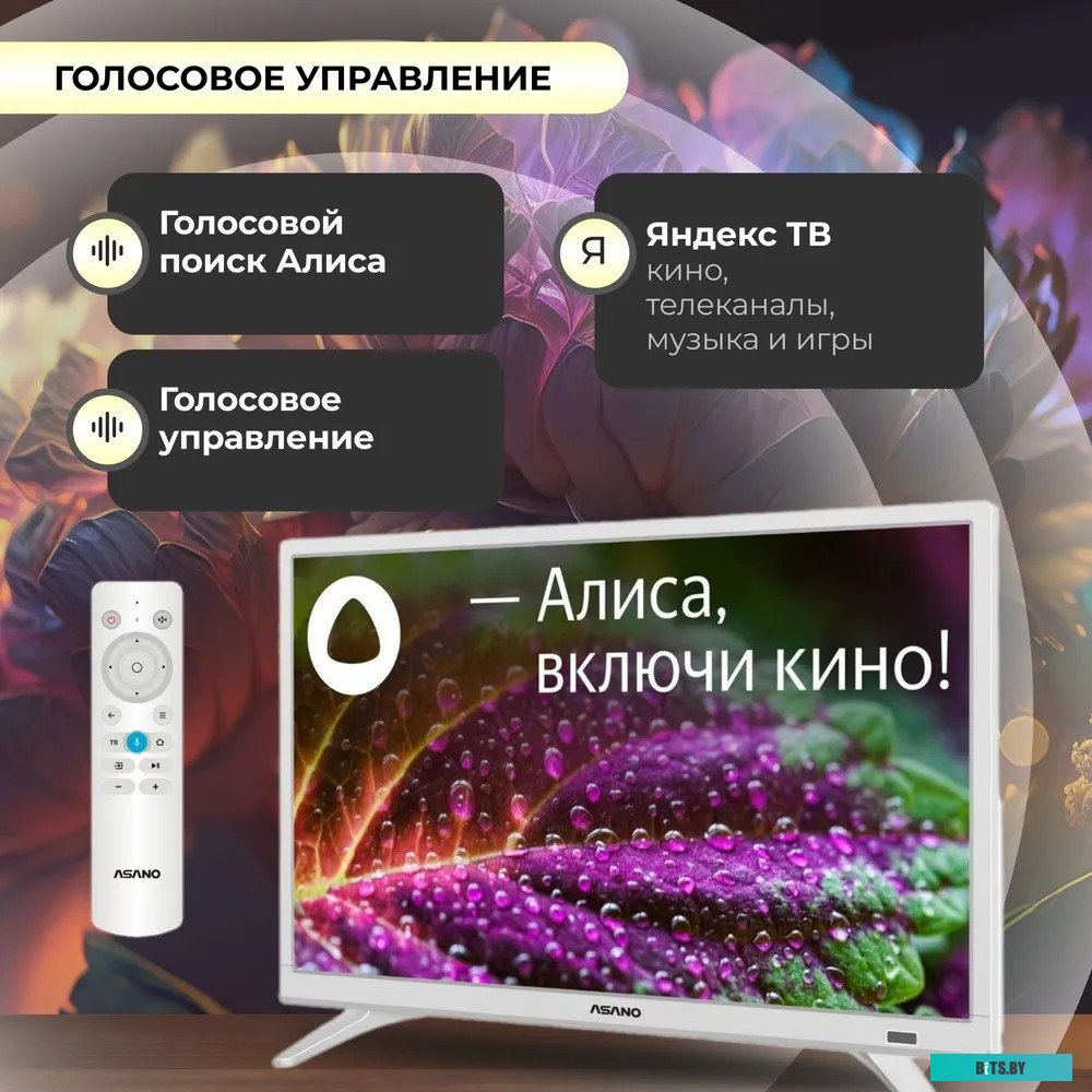 Телевизор ASANO 24LH8011T