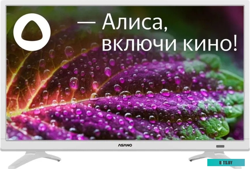 Телевизор ASANO 24LH8011T