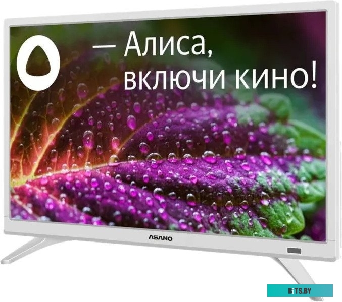 Телевизор ASANO 24LH8011T