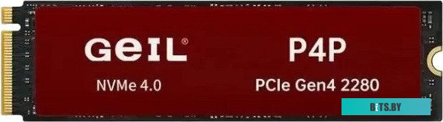Жесткий диск Geil P4P P4PDC23C1TBA