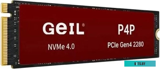 Жесткий диск Geil P4P P4PDC23C1TBA
